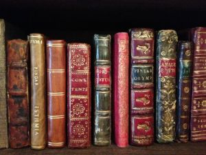 booksonshelf