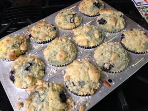 blueberrymuffin
