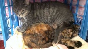 1896992_10201983585523848_23849069_n