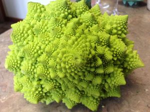 Romanesco3