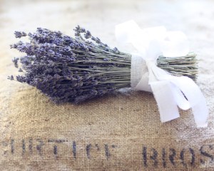 6a010536b2c084970b0147e1f60136970b