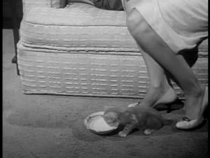 vlcsnap-2014-05-17-16h41m48s63