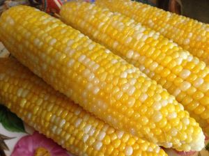 sweetcorn1