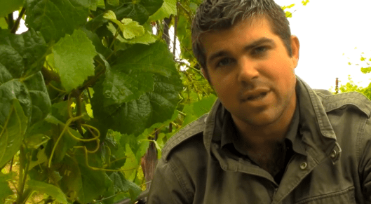 Screen Shot 2014-11-24 at 4.14.02 PM