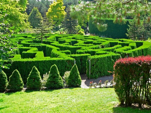 The labyrinth in Van Dusen Botanical garden, Vancouver BC.