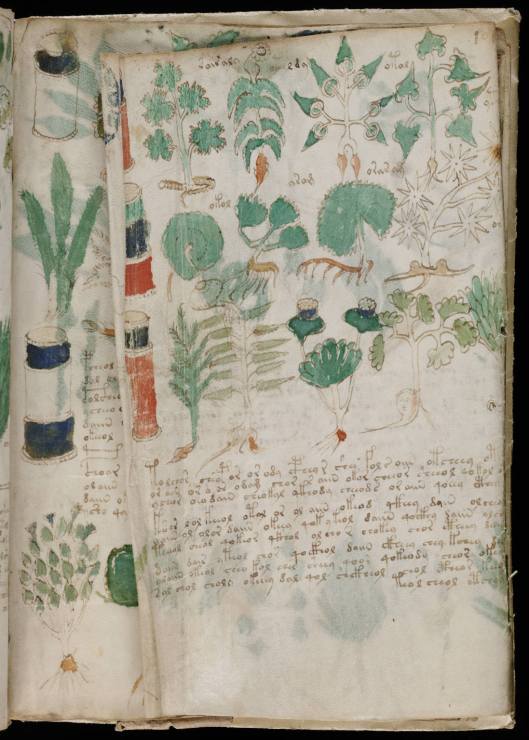 manuscrito177