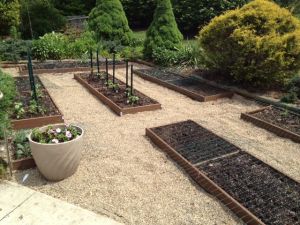 11377259_10205055408757509_8203496273199945431_n