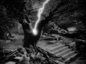 b9ff1d96ce069c913d41c8c41a8af67d