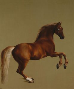800px-Whistlejacket_by_George_Stubbs_edit