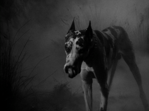 vlcsnap-2016-03-01-20h41m32s224