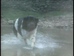 vlcsnap-2016-03-01-20h59m21s153