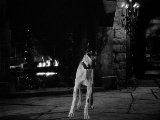 vlcsnap-2016-03-07-18h35m51s26