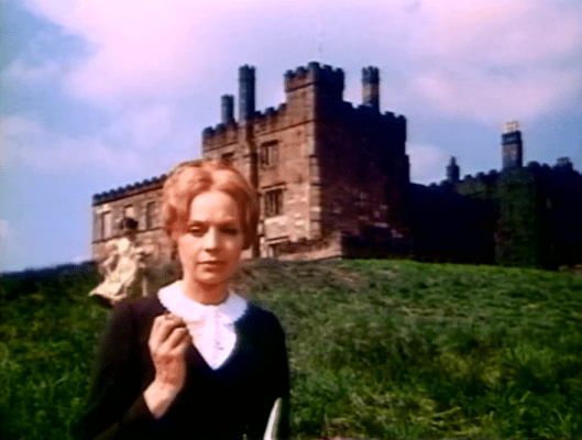 Screen Shot 2016-05-24 at 7.41.39 PM