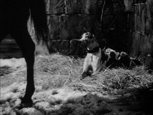 vlcsnap-2016-04-13-19h39m13s53