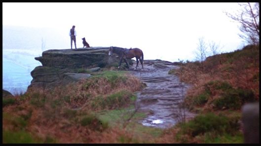 vlcsnap-2016-07-03-16h46m56s107