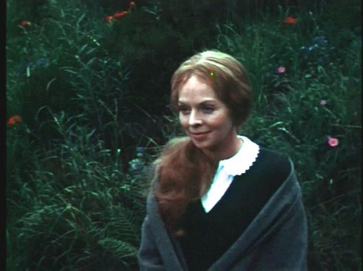 vlcsnap-2016-07-26-11h58m47s17