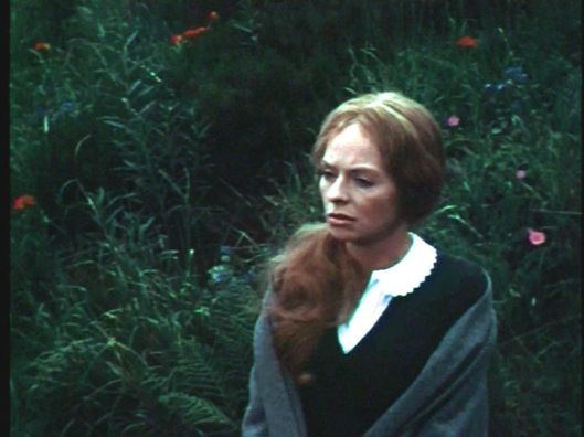 vlcsnap-2016-07-26-11h59m10s238