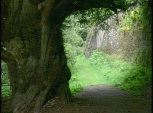 vlcsnap-2016-07-26-13h28m01s34