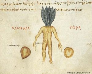 9cbef7f32f8123a6571dc72911c1fcae