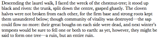 Screen Shot 2016-08-21 at 1.35.16 PM