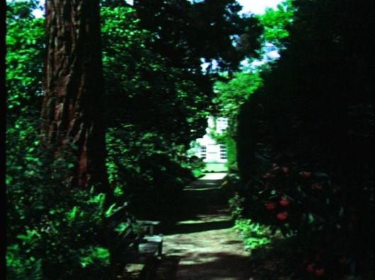 vlcsnap-2016-08-09-17h09m47s246