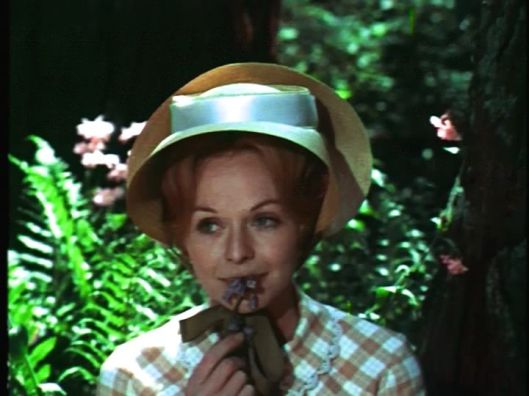 vlcsnap-2016-08-09-17h11m15s103