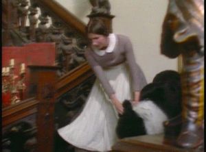 vlcsnap-2016-08-09-17h21m20s12