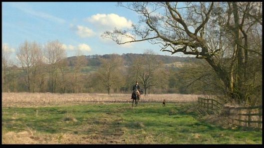 vlcsnap-2016-08-09-17h32m53s29