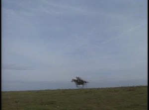 vlcsnap-2016-09-11-12h46m16s92