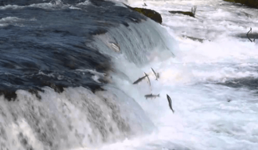 screen-shot-2016-12-18-at-8-28-39-am