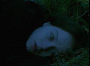 vlcsnap-2016-12-27-16h58m29s27