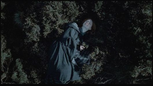 vlcsnap-2016-12-27-17h19m49s26