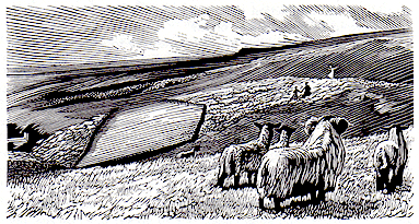 isawthefascinationofthelocalitysimonbrett-1991