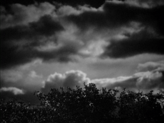 vlcsnap-2017-01-20-14h47m27s248