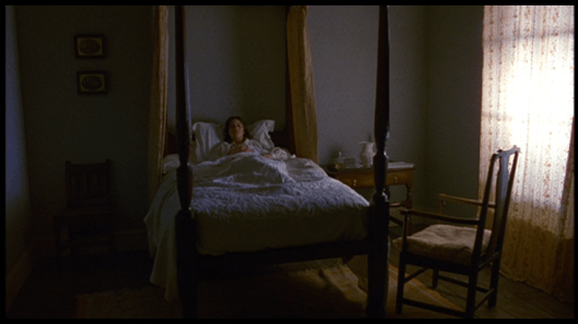 vlcsnap-2017-01-20-15h56m41s60