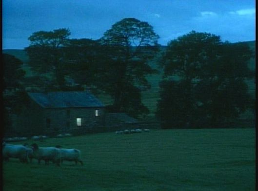 vlcsnap-2017-01-20-16h26m25s238