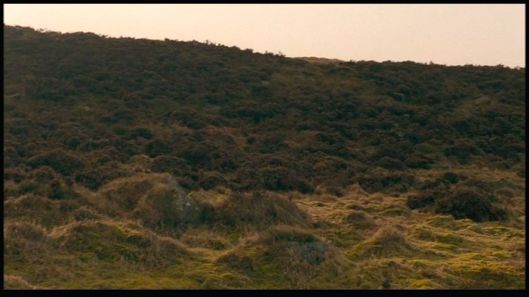 vlcsnap-2017-02-01-15h59m31s235