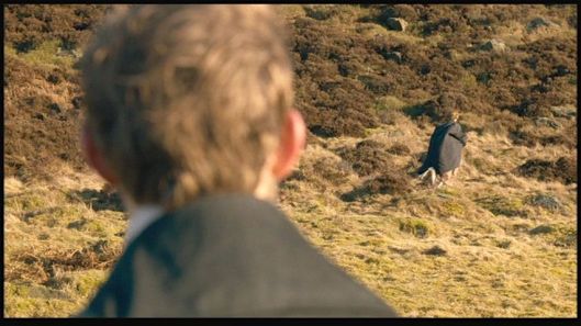 vlcsnap-2017-02-01-16h01m03s123